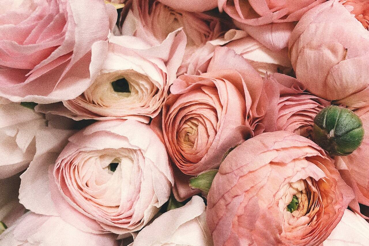 flores